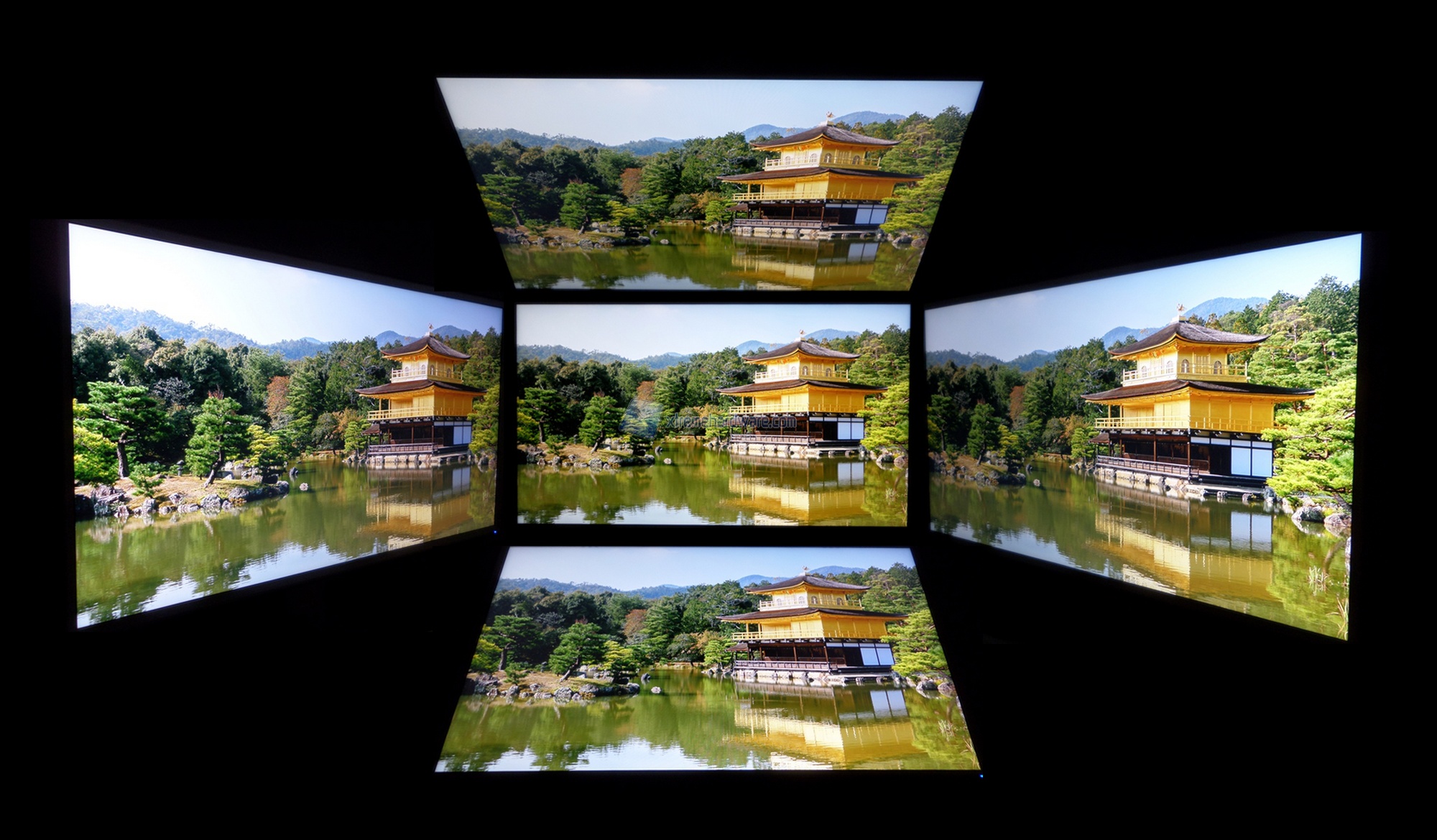 Amgoli di visione